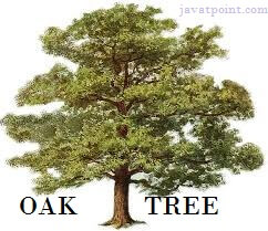 java和oak