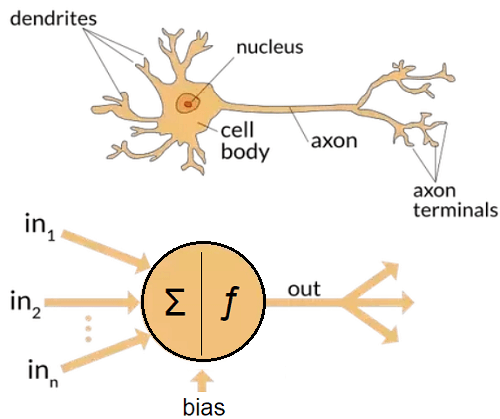 TensorFlow中的神经网络分类