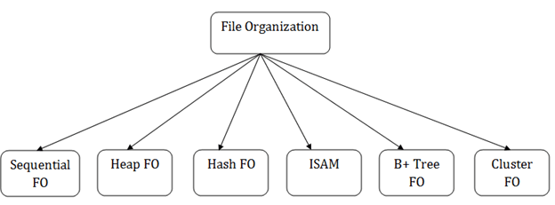 DBMS文件组织