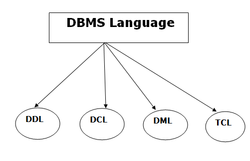 DBMS语言