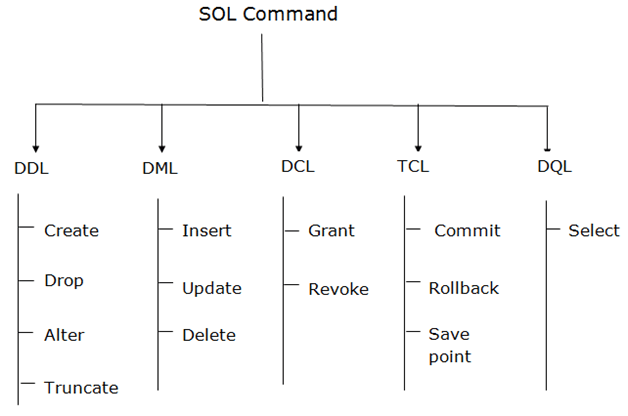 DBMS SQL命令