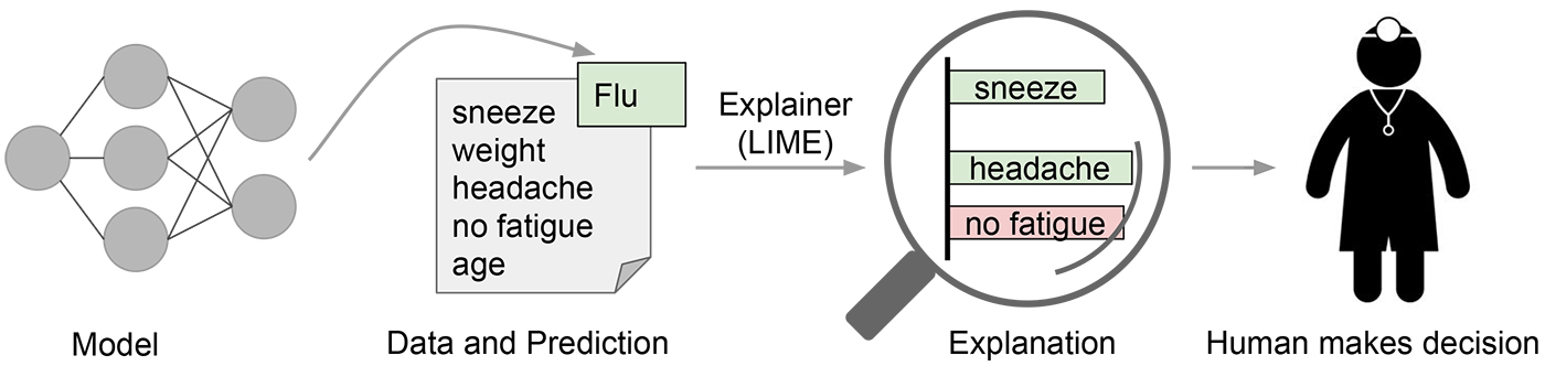 使用LIME了解模型预测4