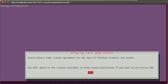 Java Terminal接受条款和条件