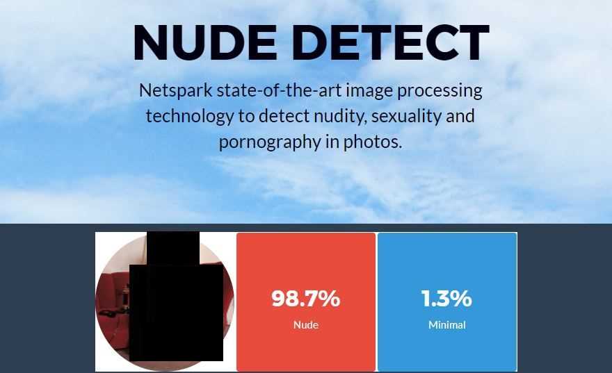 Nude Detect Api