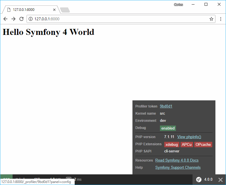 Symfony 4 Web Profiler