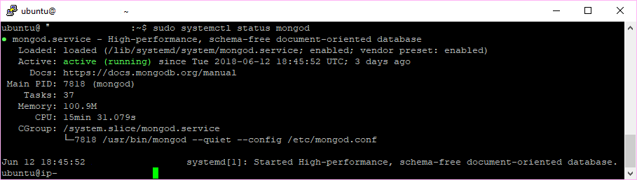 MongoDB状态服务器